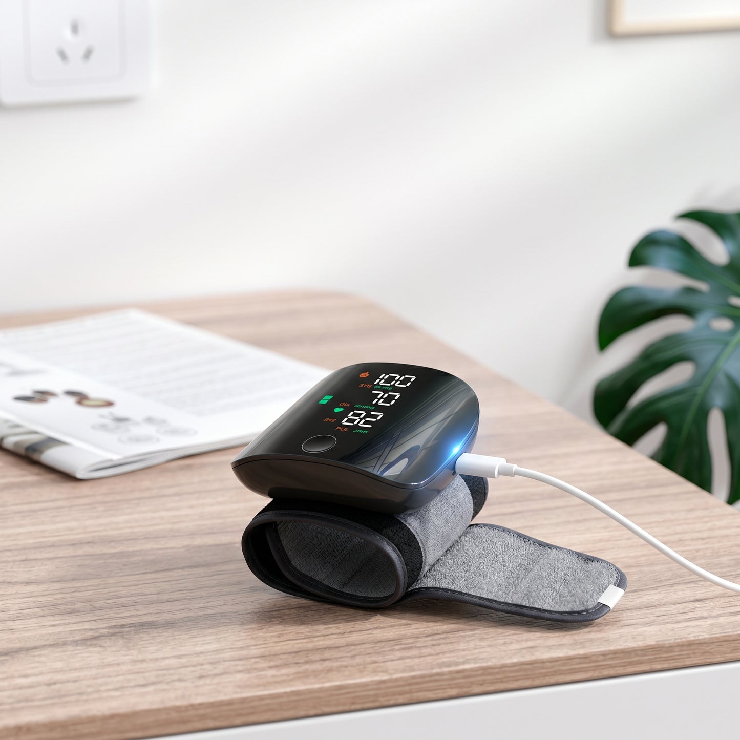 BP Pro Monitor